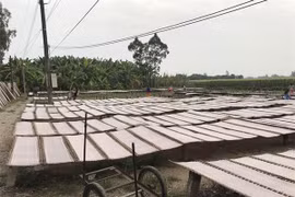 Rice paper village keeps ancient craft alive
