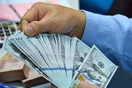 Reference exchange rate up 5 VND on week’s first day