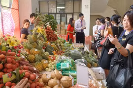 Vietnam, China promise optimal conditions for lychee export