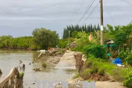 Ca Mau: Measures to mitigate damages from natural disasters
