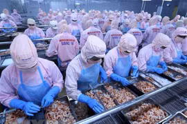 Economists: Vietnam should grasp opportunities in Africa