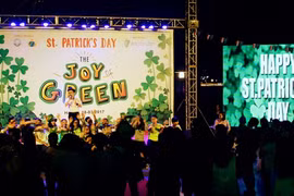 Hanoi to celebrate Ireland’s National Day