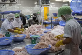 Global market bodes well for Vietnamese tra fish exports
