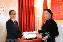 NA Chairwoman commits support to OVs in Turkey 