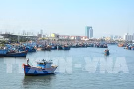 Thanh Hoa works to combat IUU fishing