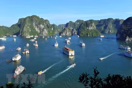 Experts discuss measures to boost tourism development
