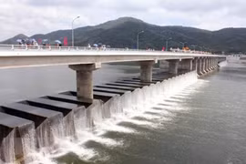 Multi-billion USD irrigation plan approved for Tay Nguyen 