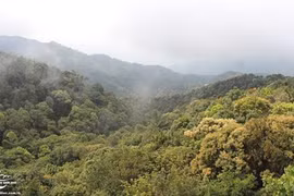 Bach Ma National Park: the ‘sleeping beauty’ of central Vietnam