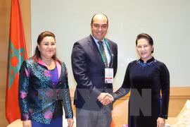 Morocco to increase high-ranking visits to Vietnam