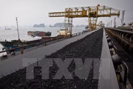 Vinacomin records high coal output, sales