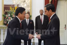 Vietnam-Indonesia stronger ties hoped for ASEAN Community growth 