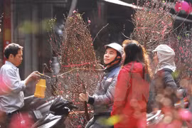  Nine-day Tet holiday announced 
