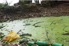 Environmental protection – a priority of agriculture ministry 