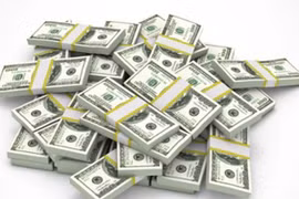 Overseas Vietnamese investments important for development 