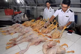 Hanoi, HCM City to tighten food checks during Tet holiday