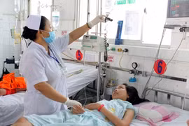 Vietnamese spend millions on dengue fever treatments 