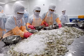Non-tariff barriers might hinder free trade flow