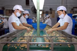 Vietnam, Italy to sign customs-related cooperation agreement 