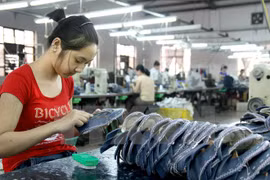 HCM City hopes for closer cooperation with EU 
