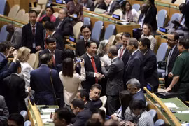 UNSC seat enables Vietnam to contribute more to global peace
