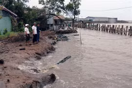 Conference looks to fight coastal erosion in Mekong Delta
