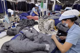 HCM City seeks ways to train workforce with int’l standards 