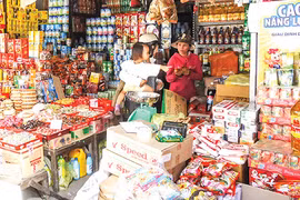 Trading households hesitant to become firms in Mekong Delta