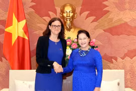 Top legislator, European trade commissioner talk about EVFTA