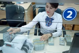 Forex rate forecast to remain stable till year-end