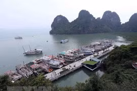 Quang Ninh strives to become regional high-quality services centre