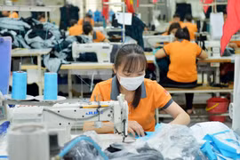 Majority of Hong Kong firms choose Vietnam as first destination in Southeast Asia 