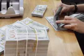 Reference exchange rate up 13 VND on September 24
