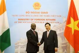 Vietnam values ties with Ivory Coast: Deputy PM