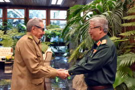 Vietnam hopes to enhance defence ties with Cuba: Official