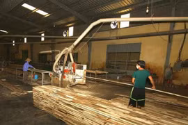 Wood processing firms should embrace technologies: experts 