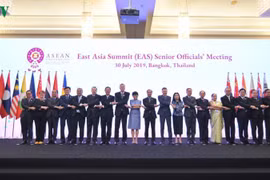 Vietnam attends ASEAN+3, EAS senior officials meetings
