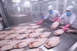 EVFTA shows Vietnam’s policy of supporting free trade: WB