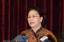 NA Chairwoman directs strengthening of Party inspection, discipline 