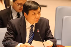 Vietnam backs international legal processes: ambassador 