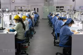 Int’l economists optimistic of Vietnam’s GDP growth 