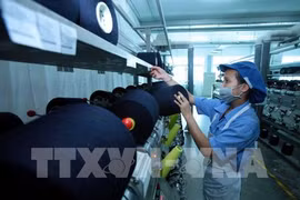 Dong Nai records three-fold surge in FDI 