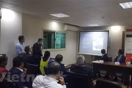Vietnam, Egypt boost cooperation in potential areas