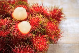 German firm develops bioactives for cosmetics from Vietnam’s rambutan 