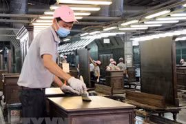 Trade fraud risks in wood industry warned