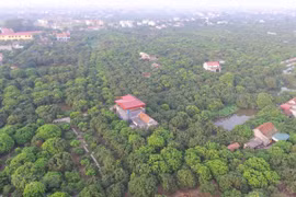 Investment in farm land needed: experts