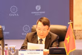 VNA leader suggests ways to win public trust in fake news combat 