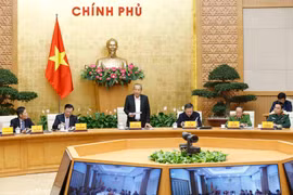 Deputy PM demands corrupted officials be handled strictly