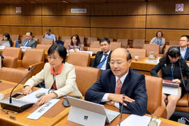 Vietnam actively partakes in building int’l trade regulations