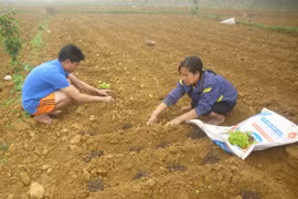 Thousands benefit from poverty reduction project
