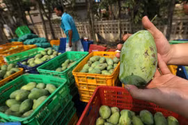 FTA with RoK to improve Cambodia’s competitiveness: exporters